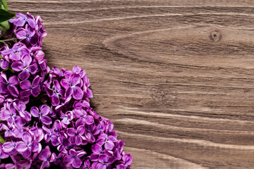 lilac flowers in the left down corner on the brown wooden table