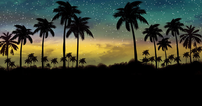 Night landscape with palm trees, against the backdrop of a neon sunset, stars