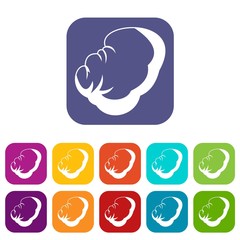 Spleen icons set vector illustration in flat style in colors red, blue, green, and other