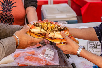 2 people holding fresh crab at farmers market © Chris
