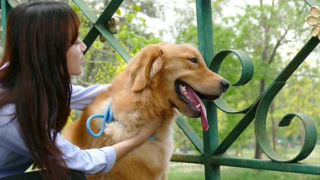 Young asian beautiful girl playing with her little golden retriever dog in park
