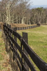 Wooden fence twisting beside the field