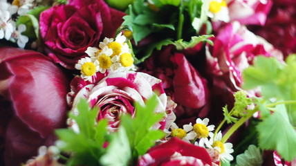 SONY DSC