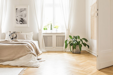Plant near bed with blanket in white bedroom interior with poster next to window. Real photo - obrazy, fototapety, plakaty
