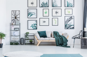 Real photo of a couch standing between a black chair and two shelves with plants and ornaments in a living room with botanic posters and small rugs