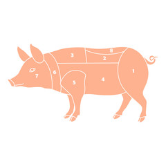cutting pork scheme vector illustration flat style profile 
