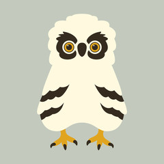 cartoon owl vector illustration flat style front 