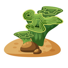 Marine green algae seaweed, plant underwater, isolated on white background, vector, cartoon style