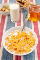 Bowl of healthy muesli