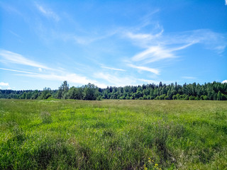 Green field with forest on the horizon and blue sky with clouds.