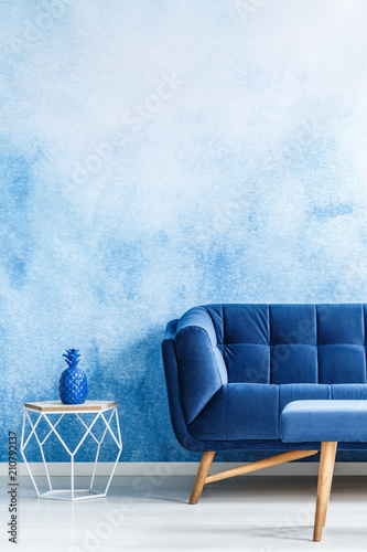 Copy Space Monochromatic Living Room Interior With Plush