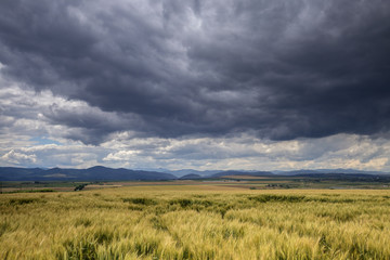 Landscape in Neamt - Romania in the summer with cloudy sky