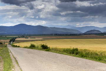 Fototapeta na wymiar Landscape in Neamt - Romania in the summer with cloudy sky