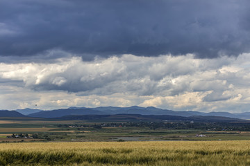 Landscape in Neamt - Romania in the summer season