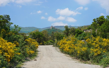 Path with broom plants in bloom leading to the castle of Requesens on the top of the hill, la Jonquera, Alt Emporda, Girona, Catalonia, Spain