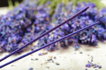 Lavender flowers close up