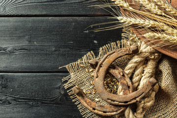 American West still life with old horseshoe