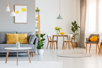 Open space living and dining room interior with gray sofa, wooden tables, white chairs and plants....