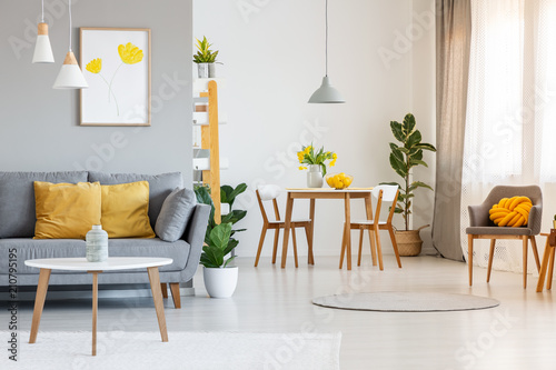 Open Space Living And Dining Room Interior With Gray Sofa Wooden Open Space Living And Dining Room Interior With Gray Sofa Wooden Tables White Chairs
