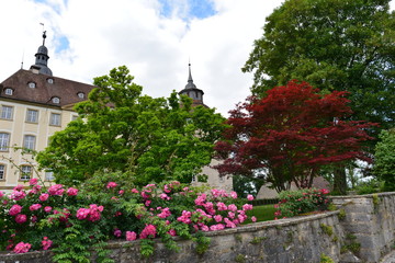 Schloss Langenburg