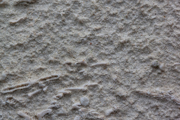 Gray plastered handmade rough wallpaper. Beautiful decorative gray plastered wall.