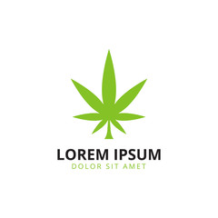 Marijuana leaf logo template