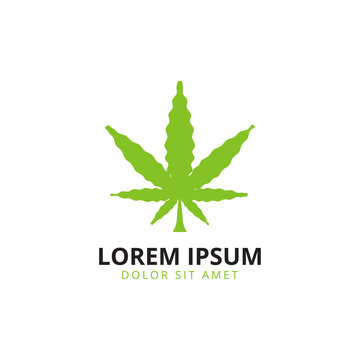 Marijuana leaf logo template