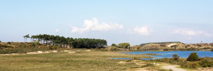 Dutch Landscape with lake and trees in the Netherlands, Kennemerduinen