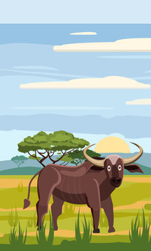 Bufffolo cute cartoon style in background savannah Africa, isolated, vector