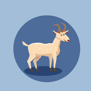 Cute goat vector illustration isolated. Farm animal goat cartoon character.