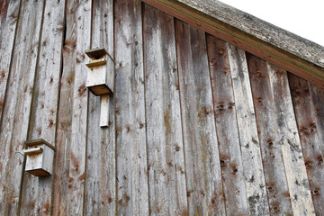 Two bird houses on grey old weathered natural wooden planks barn facade with copy space for text. 