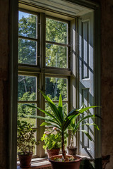 lights shine through the window