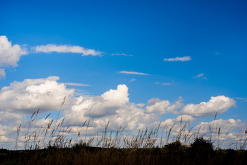 A curly summer clouds on blue sky background