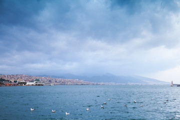 Fototapeta premium Floating seagulls. Izmir, Turkey