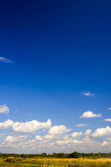 Obraz na płótnie Canvas A curly summer clouds on blue sky background