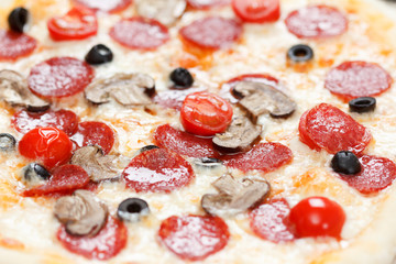 Fresh pizza pepperoni in macro view