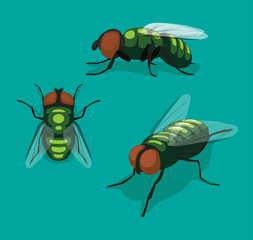 Fly Insect Cartoon Vector Illustration