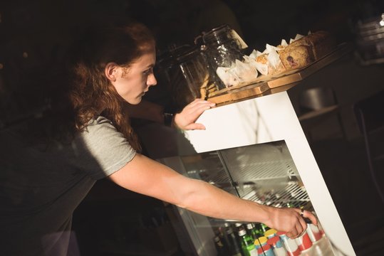 Waiter arranging bottle in refrigerator