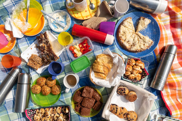 Summer picnic party with lots of homemade sweet and savoury food on bright chequered blankets from above.