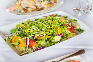 Tomato and cucumber salad with sunflower seedlings on a with plate.