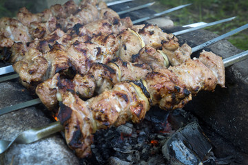Closeup of meat skewers being grilled in a barbecue.