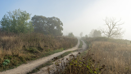 Vanishing dirt road with old dried-up tree in morning fog at dawn. Bulatovo, Kaluzhsky region, Russia.