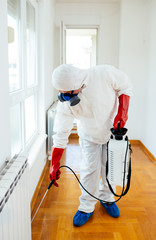 Exterminator in work wear spraying pesticide or insecticide with sprayer