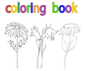 Obraz premium vector, book coloring, flower