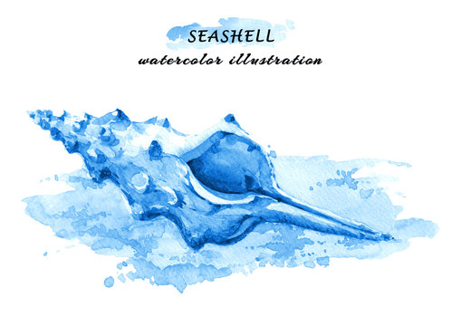 Hand drawn watercolor illustration of a seashell on sundy beach. Isolated on white background.