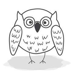 owl