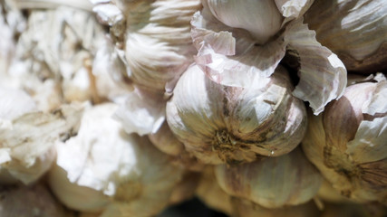 garlics group close up.