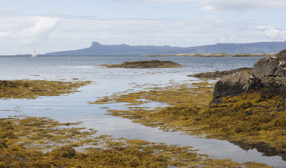Coastal Arisaig..