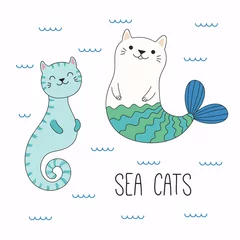 Papier Peint photo Illustration Illustration vectorielle dessinée à la main d& 39 un hippocampe de chat drôle kawaii, sirène, nageant dans la mer. Objets isolés sur fond blanc. Dessin au trait. Concept de design pour les enfants imprimés.
