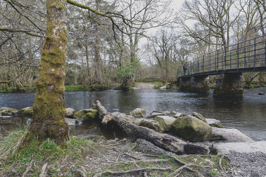 Bridge over River Rothay at White Moss Walks, scenic forest recreational area in Ambleside, Lake District National Park in South Lakeland, England, UK